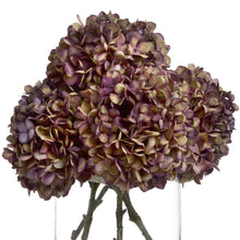 Load image into Gallery viewer, Autumn Burgundy Hydrangea
