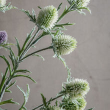 Load image into Gallery viewer, Green Thistle Faux Spray

