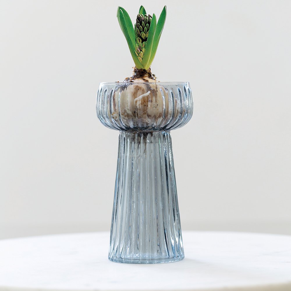 Ribbed Grey Glass Hyacinth Vase by Grand Illusions