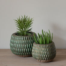 Load image into Gallery viewer, Grand Illusions Armadillo Plant Pot - Small
