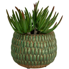 Load image into Gallery viewer, Grand Illusions Armadillo Pot - Large
