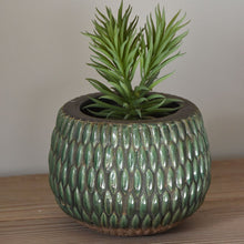 Load image into Gallery viewer, Grand Illusions Armadillo Pot - Large
