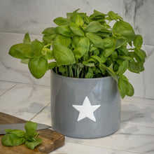 Load image into Gallery viewer, Retreat Home Grey Flower Herb Pot with White Star
