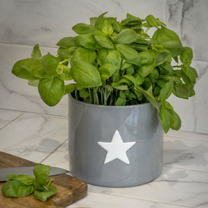 Retreat Home Grey Flower Herb Pot with White Star