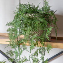 Load image into Gallery viewer, Faux Trailing Fern in Soil
