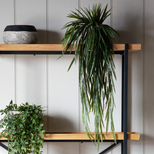 Faux Trailing Spiky Rhipsalis Fern in Soil