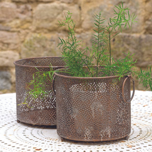 Metal Petales Lantern/Planter by Grand Illusions