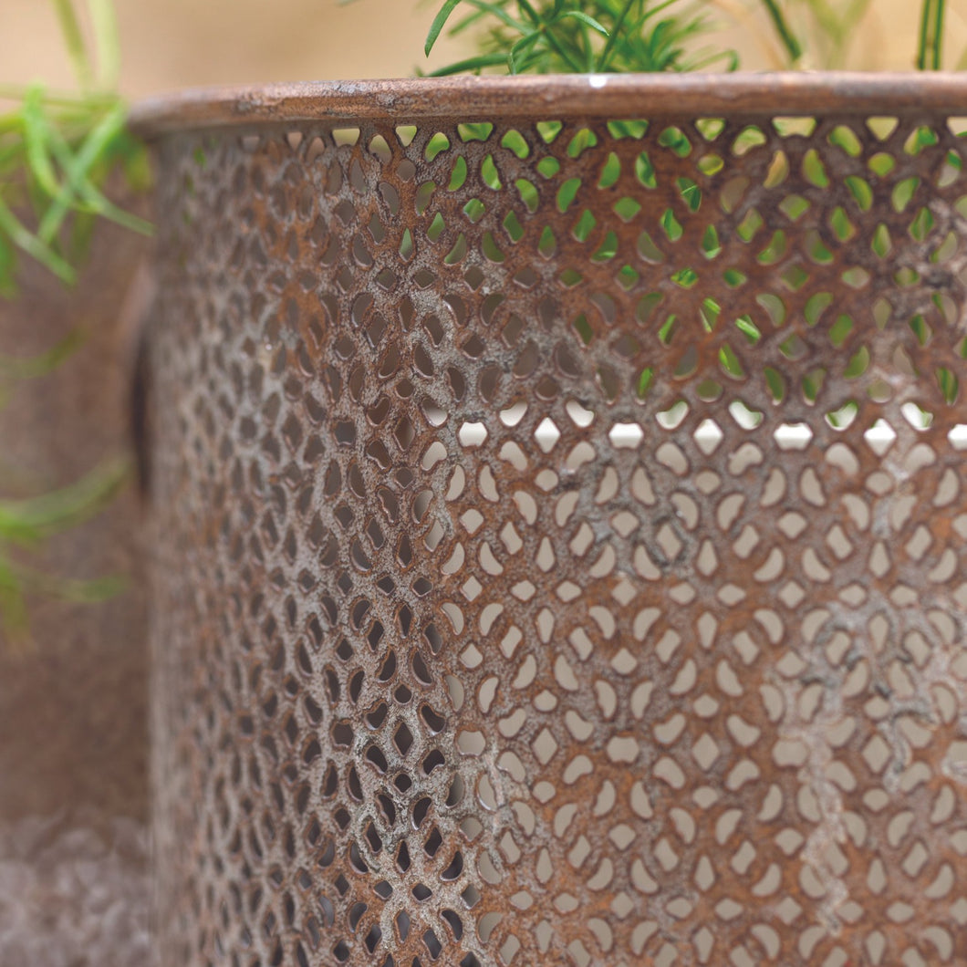 Metal Petales Lantern/Planter by Grand Illusions