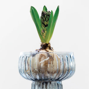 Ribbed Grey Glass Hyacinth Vase by Grand Illusions