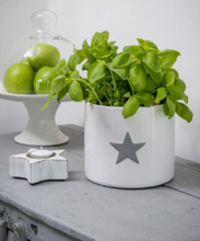 Load image into Gallery viewer, Retreat Home Grey Flower Herb Pot with White Star
