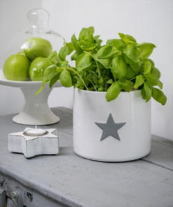 Retreat Home Grey Flower Herb Pot with White Star