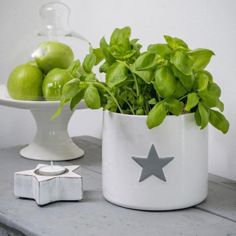 Retreat Home White Flower Herb Pot with Grey Star