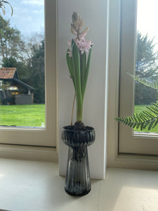 Ribbed Grey Glass Hyacinth Vase by Grand Illusions