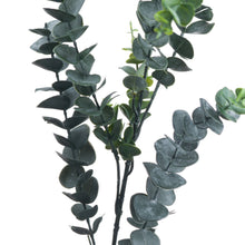 Load image into Gallery viewer, Silver Dollar Eucalyptus Stem
