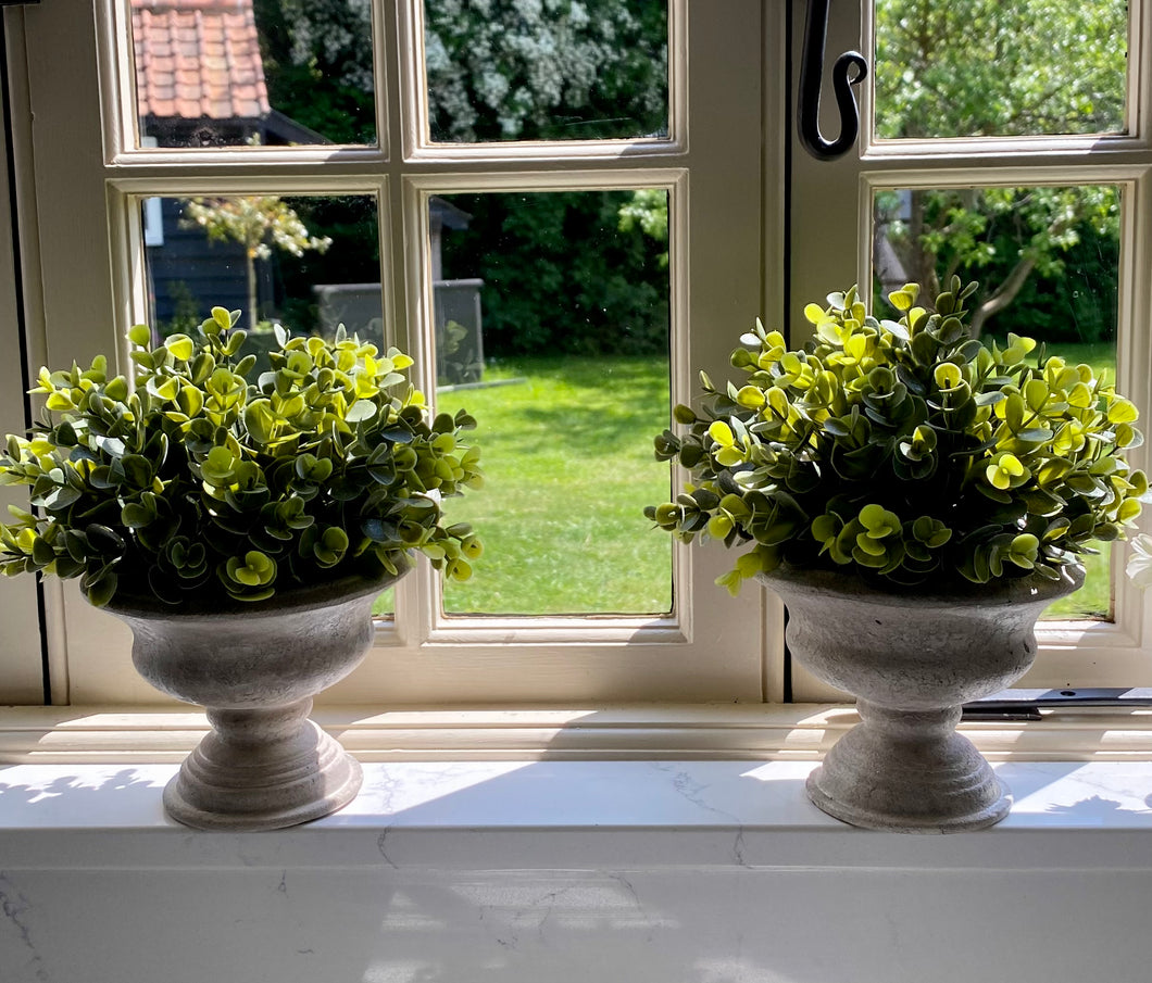 Faux Potted Sage Plant