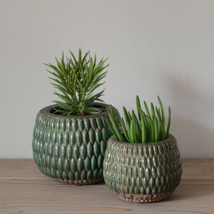 Grand Illusions Armadillo Plant Pot - Small