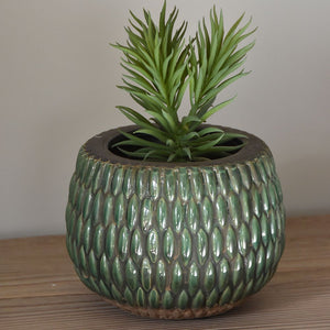 Grand Illusions Armadillo Pot - Large